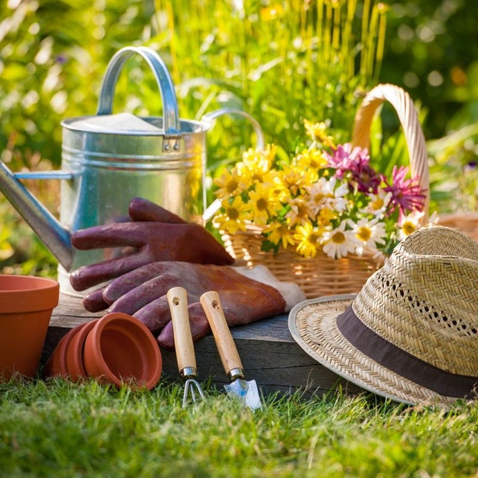 Beneficios de la jardinería para la salud