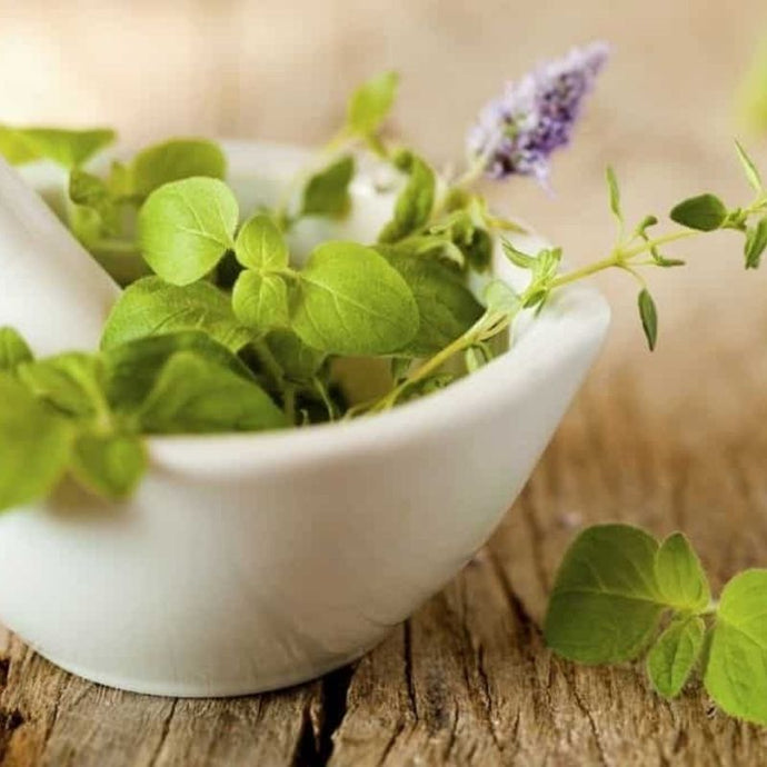 Cómo eliminar los parásitos con hierbas aromáticas