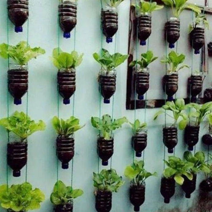 Cómo hacer tu propio jardín vertical con botellas de plástico