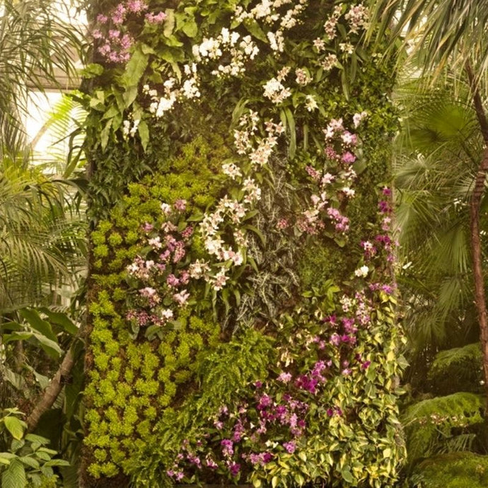 Cómo instalar tu propio jardín vertical paso a paso