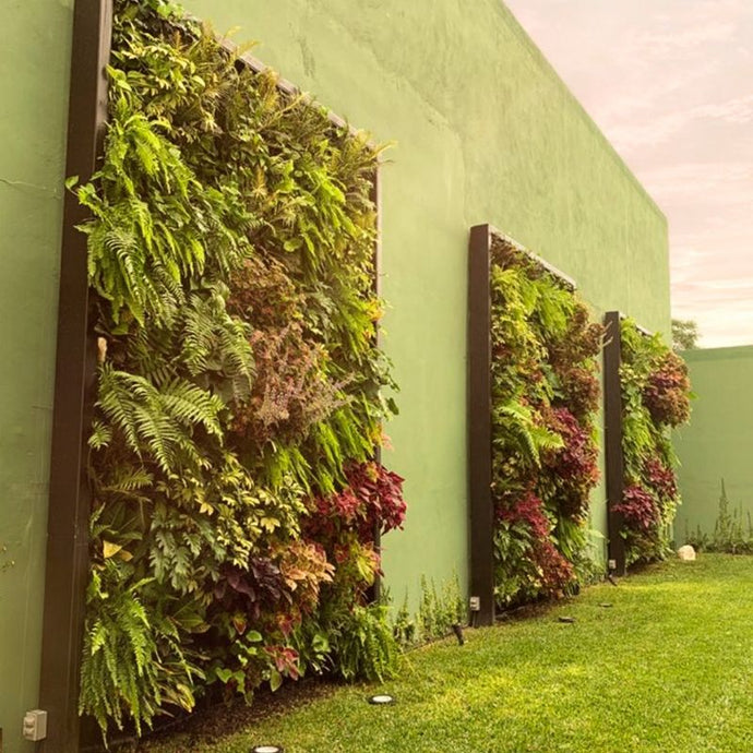 Cómo mantener el jardín de mi casa siempre verde