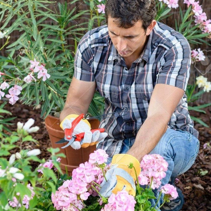 Conoce 6 regalos perfectos para el papá jardinero