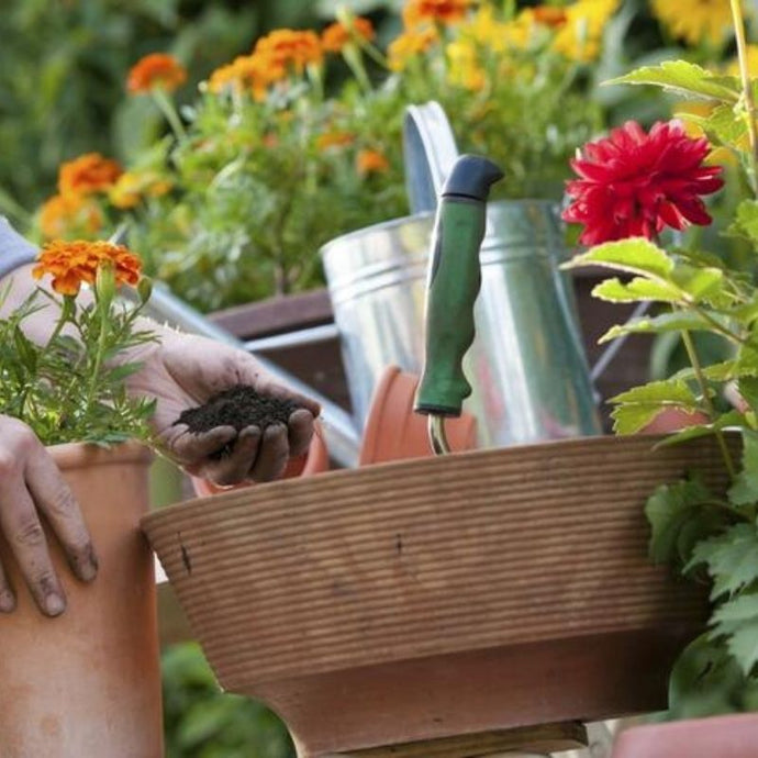 Conoce los mejores trucos de jardinería