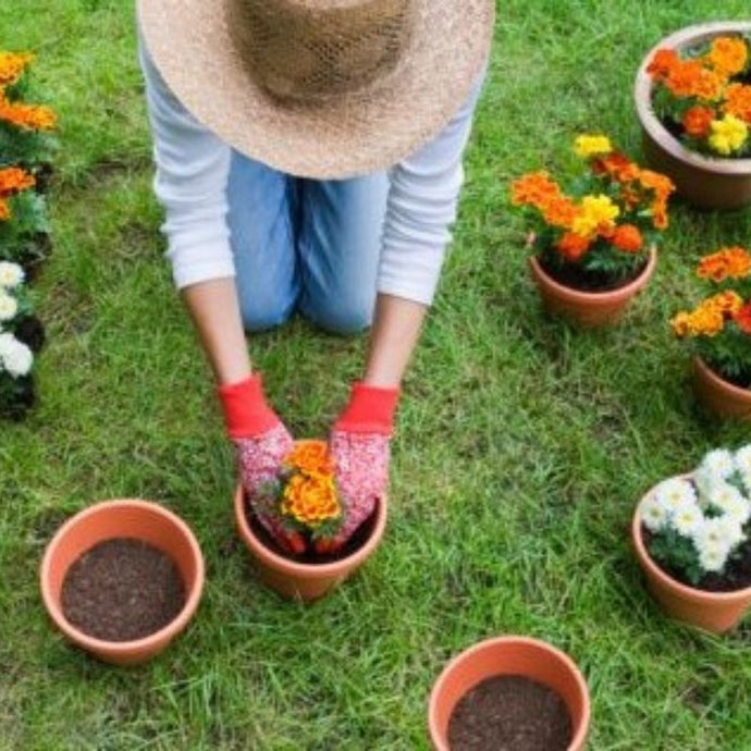 Consejos de jardinería para tu seguridad