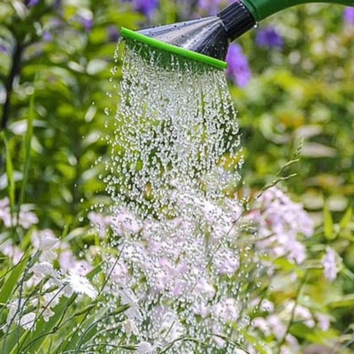 Consejos para ahorrar agua en el riego de plantas y jardín