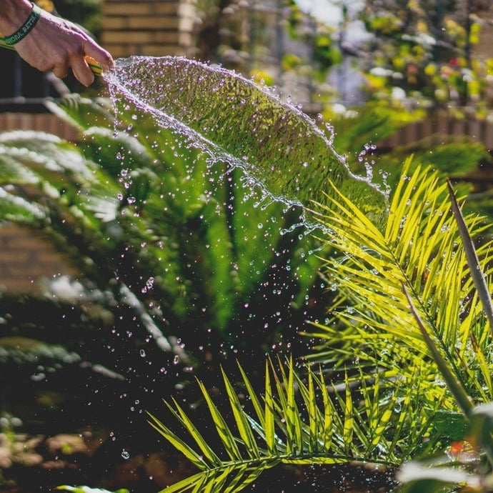 Consejos para cuidar tu jardín vertical en época de calor