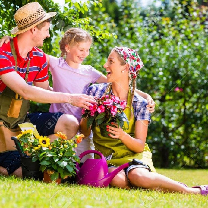 Jardinería en Familia: 10 grandes ideas para comenzar ya