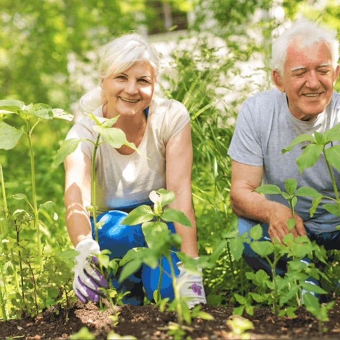 Jardinería y adultos mayores: una gran combinación