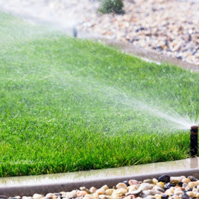 Mantén tu jardín espléndido con los cuidados del césped en agosto