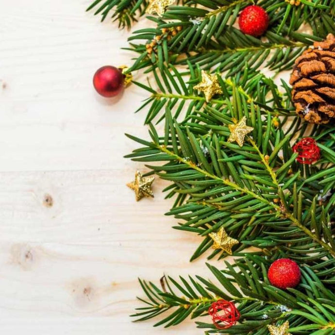 5 consejos para mantener deslumbrante tu árbol de Navidad natural ¡en la oficina!