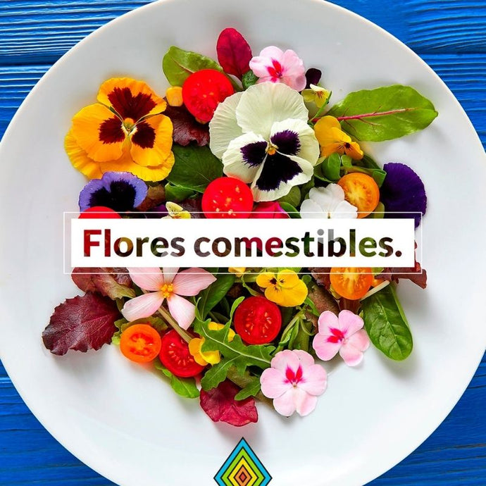 3 deliciosas recetas de flores comestibles