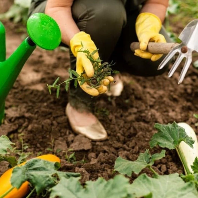 7 herbicidas caseros para eliminar las malas hierbas