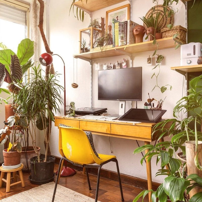 7 plantas de interior para jardines verticales