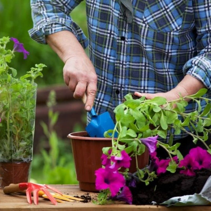 10 consejos de jardinería que te harán ahorrar dinero, tiempo y energía