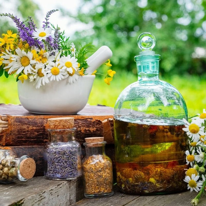 4 remedios caseros con hierbas medicinales