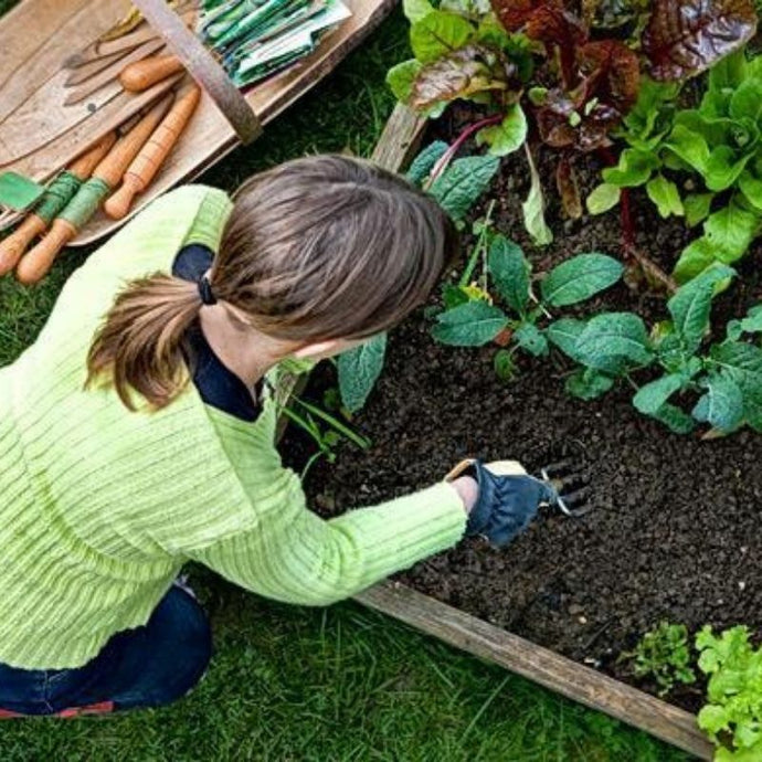 20 Prácticas ecológicas en el jardín